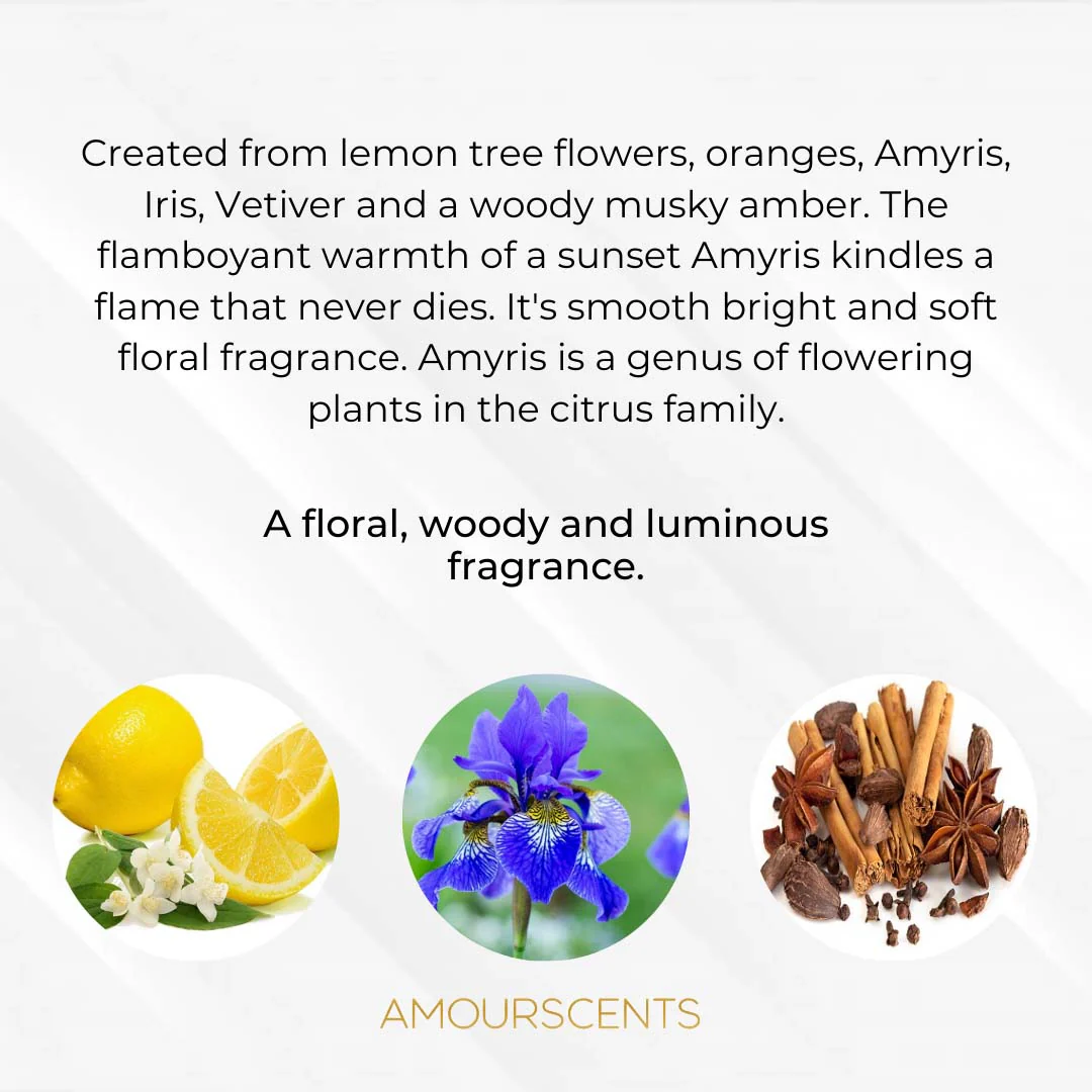 Amyris Femme Oil (Inspired) - Image 2