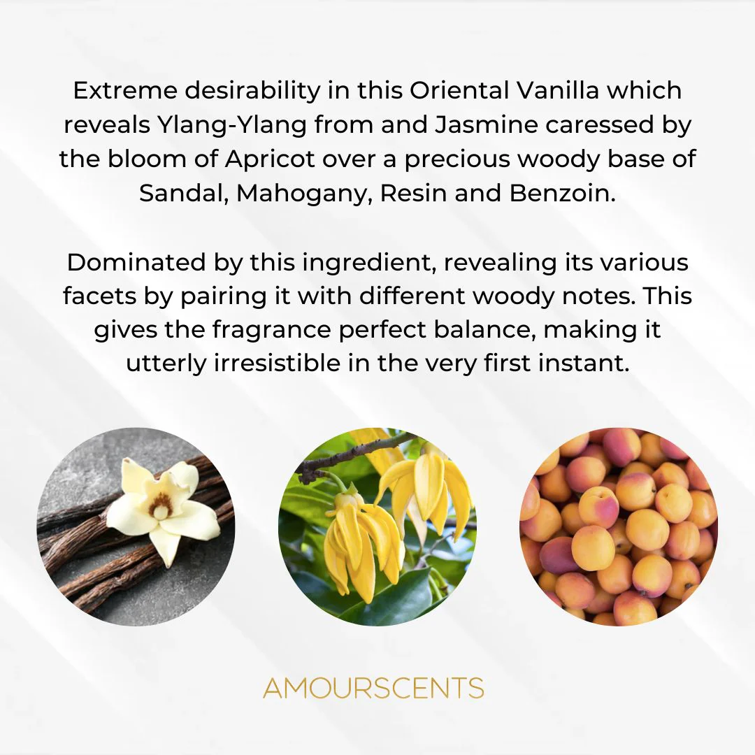 Vanilla Extasy Car Freshener (Inspired) - Vanilla Dolce - Image 2